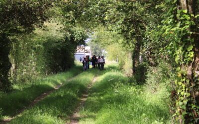 En chemin vers la fraternité